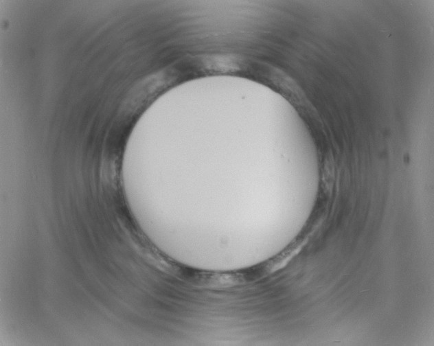 X0000060740330200512081924