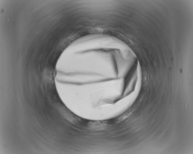 X0000060740331200512081924