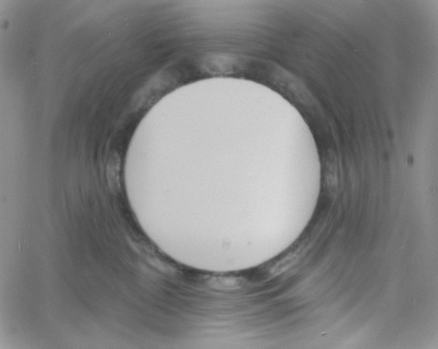 X0000060740332200512081924