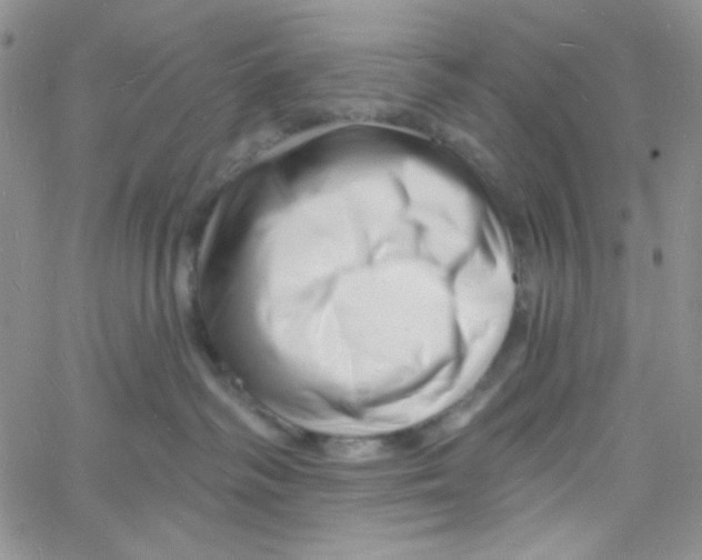 X0000060740334200512081924