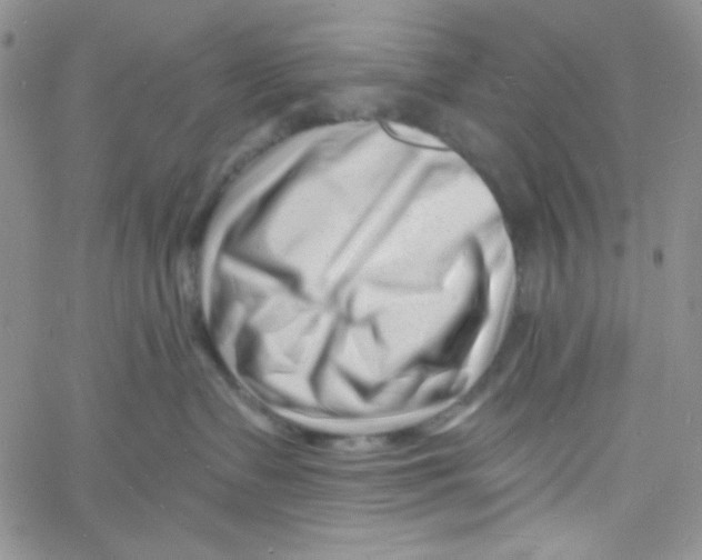 X0000060740335200512081924