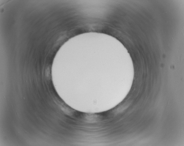 X0000060740336200512081924