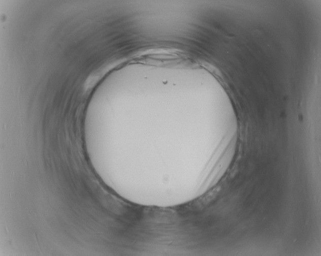 X0000060740337200512081923