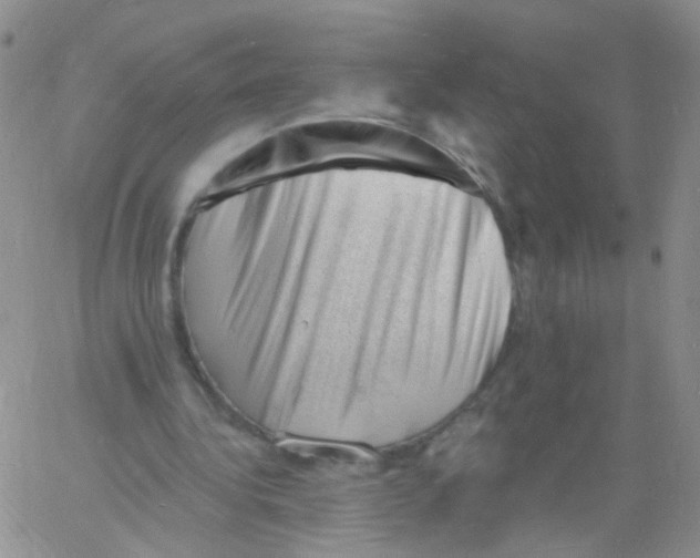 X0000060740340200512081923