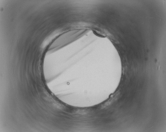 X0000060740341200512081923