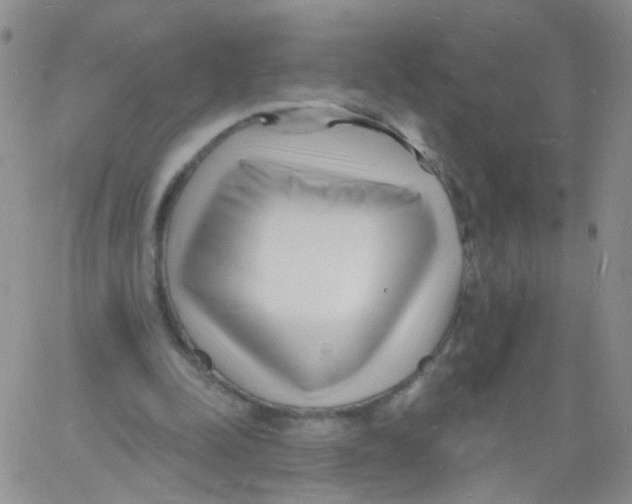 X0000060740342200512081923