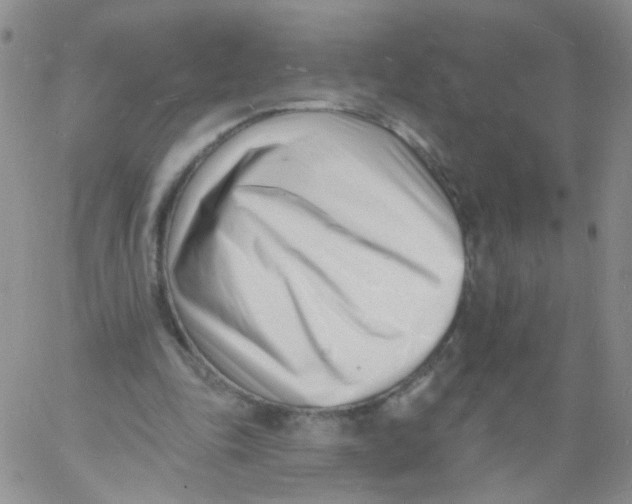 X0000060740343200512081923