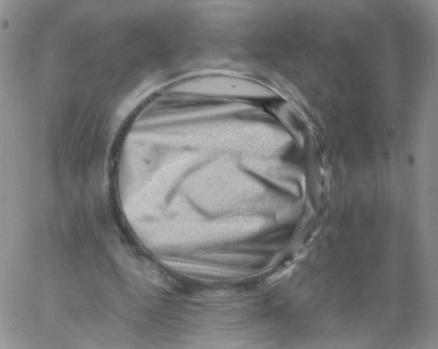 X0000060740344200512081923