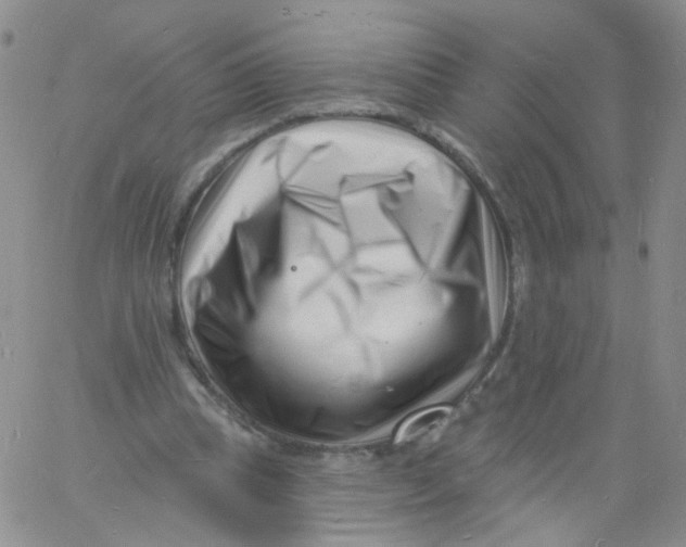 X0000060740345200512081923