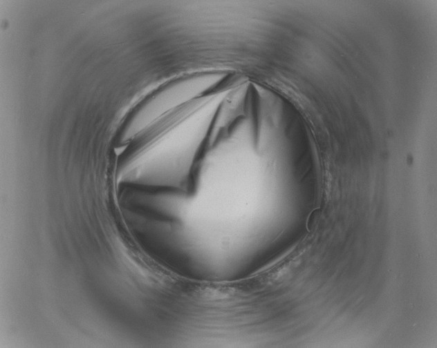 X0000060740346200512081923