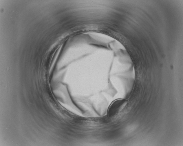 X0000060740347200512081923