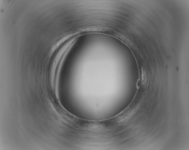 X0000060740348200512081923