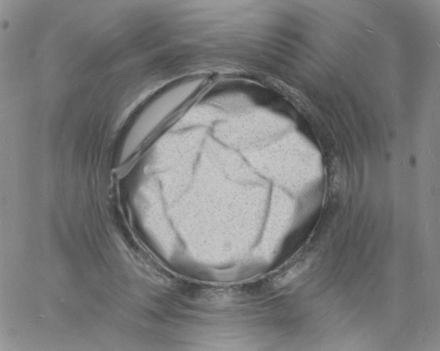 X0000060740351200512081923