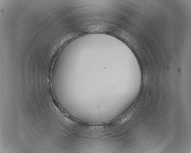 X0000060740353200512081923