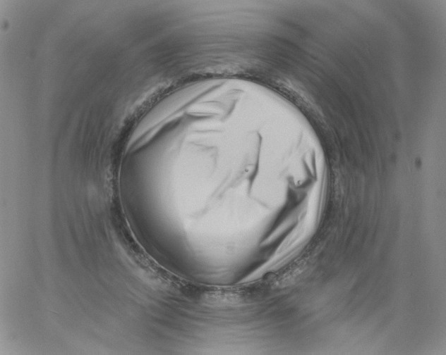 X0000060740354200512081923