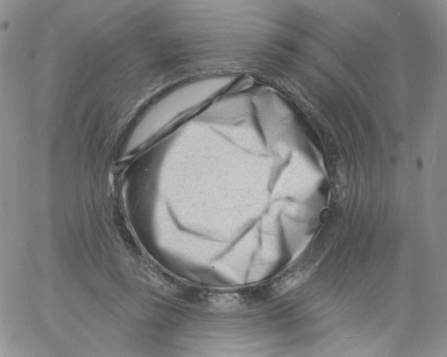 X0000060740355200512081923