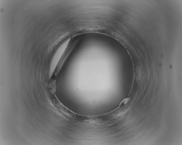 X0000060740356200512081923