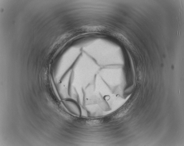 X0000060740357200512081923