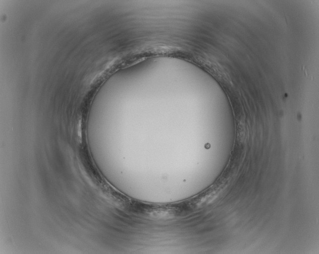 X0000060740358200512081923