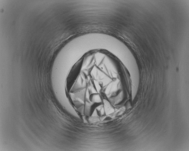 X0000060740359200512081923