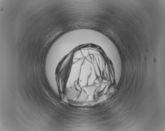 X0000060740360200512081923