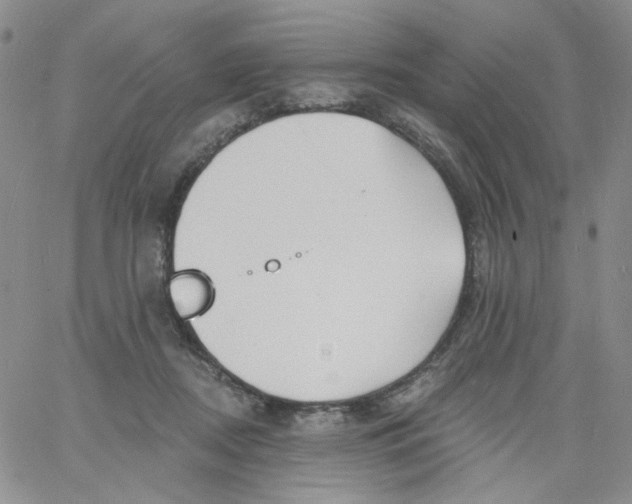 X0000060740362200512081924