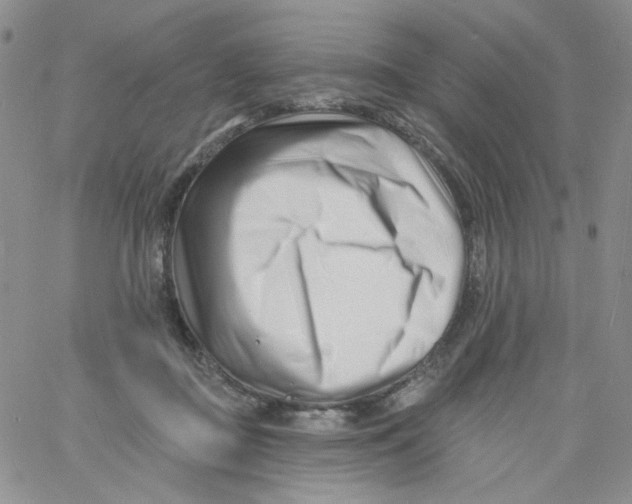 X0000060740363200512081924