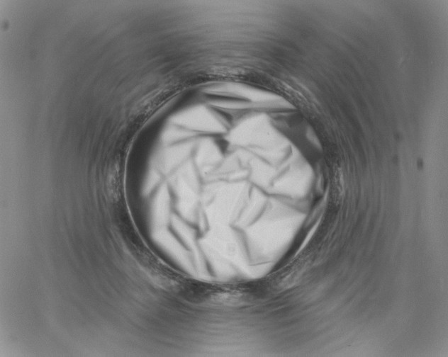 X0000060740364200512081924