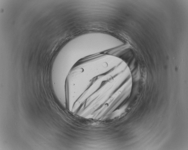 X0000060740365200512081924