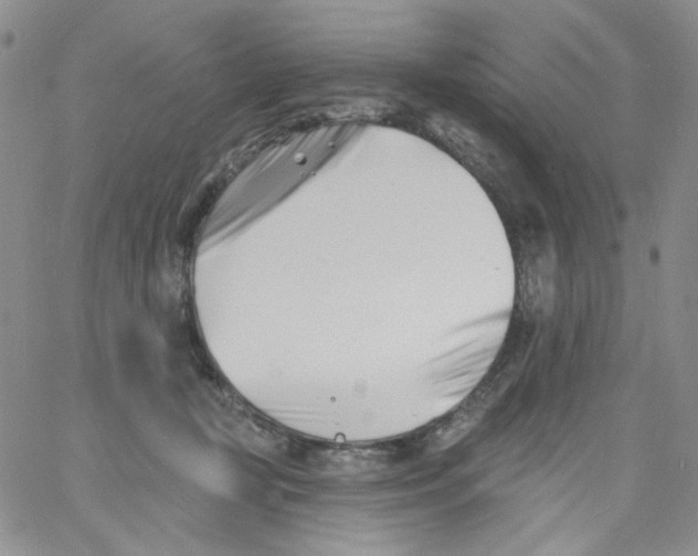 X0000060740367200512081924