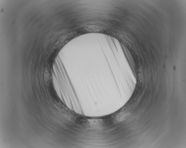 X0000060740371200512081924