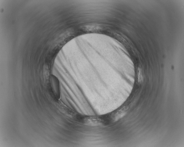 X0000060740372200512081924