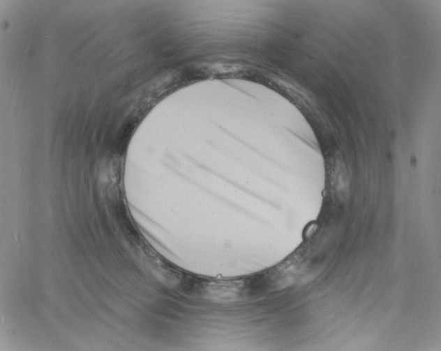 X0000060740373200512081924