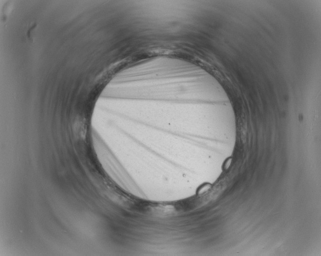 X0000060740374200512081924