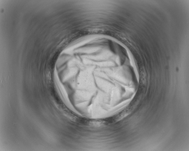 X0000060740375200512081924