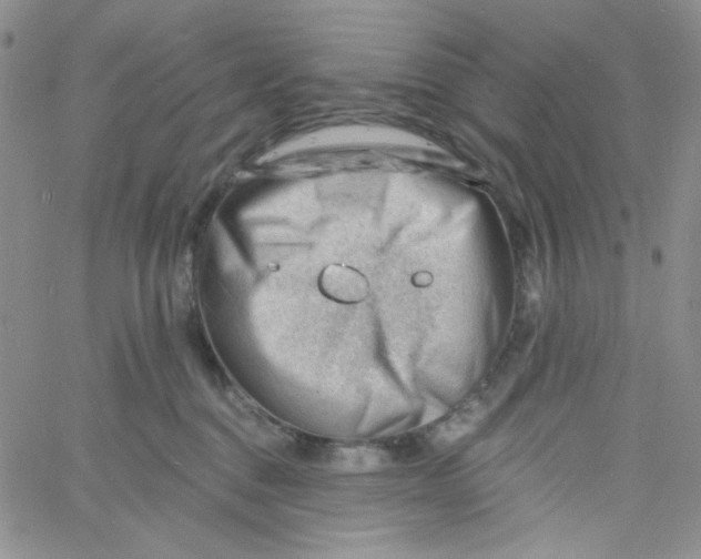 X0000060740376200512081924