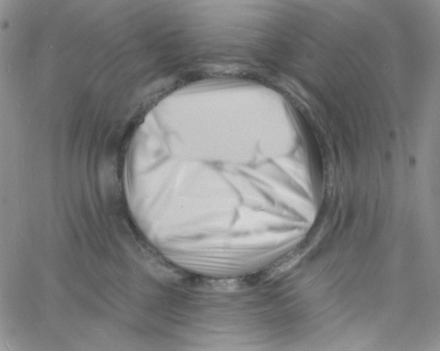 X0000060740377200512081924