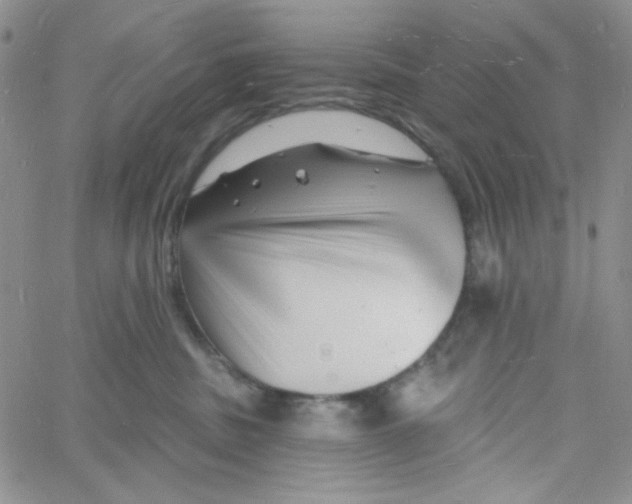 X0000060740379200512081924