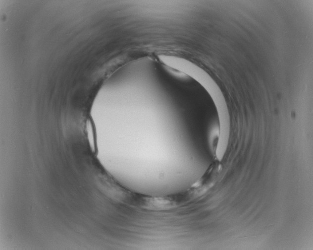 X0000060740380200512081924