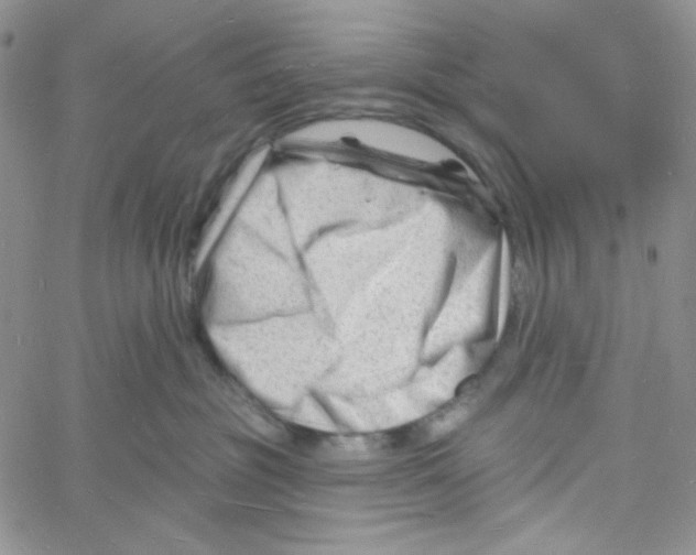 X0000060740381200512081924