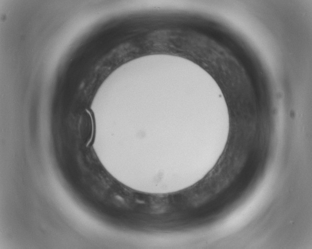 X0000060740382200512081924