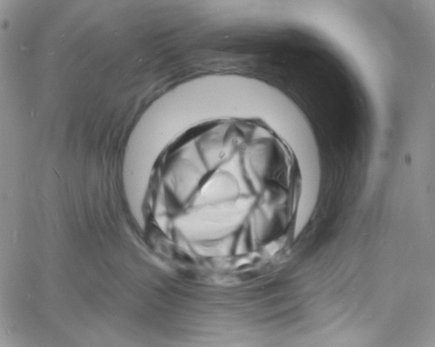 X0000060740383200512081924