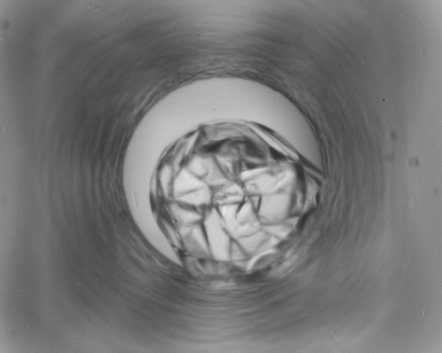 X0000060740384200512081924