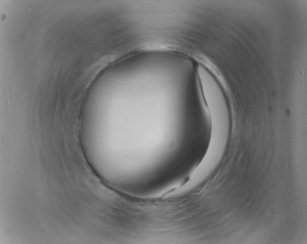 X0000060740385200512081923