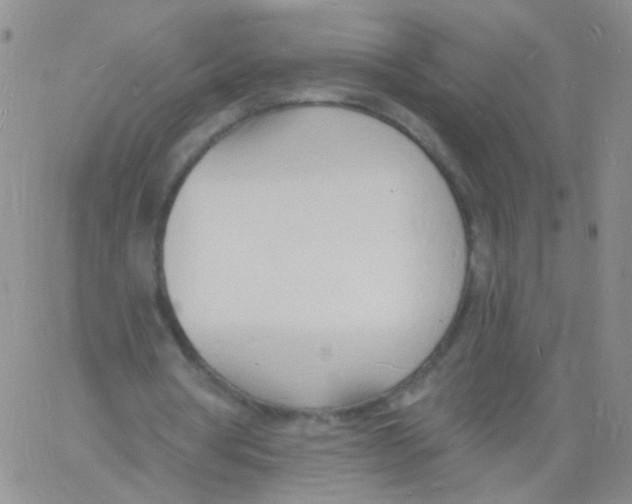 X0000060740386200512081923