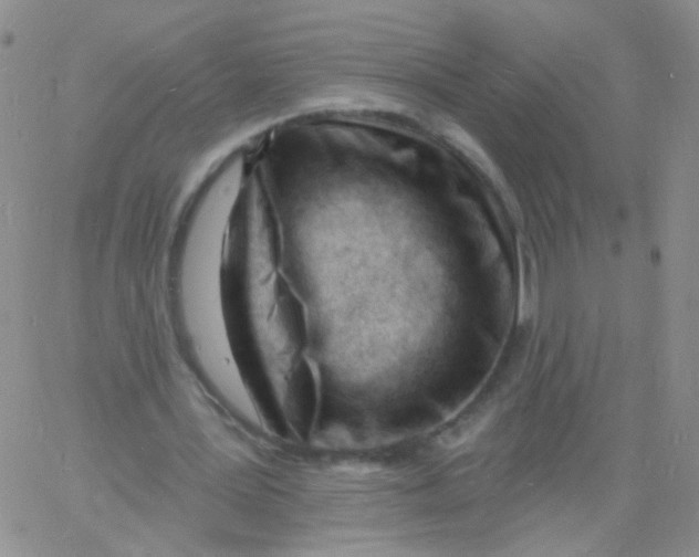 X0000060740387200512081923