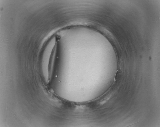 X0000060740388200512081923