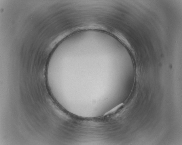 X0000060740389200512081923