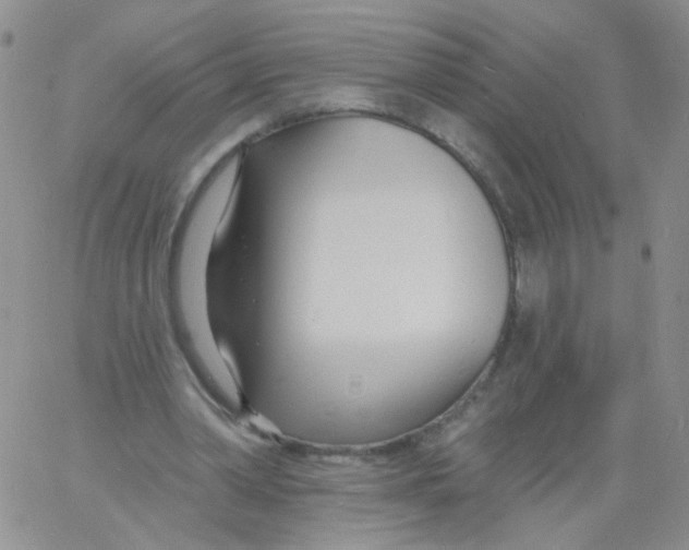 X0000060740390200512081923