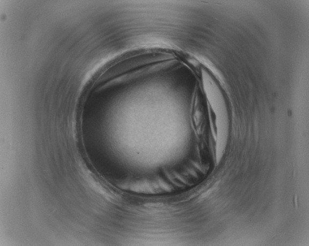 X0000060740391200512081923